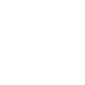 flight_service_aelf_client_rafael_de_amorim_videographer