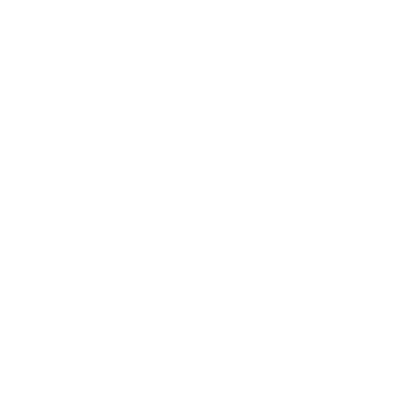 flight_service_aelf_client_rafael_de_amorim_videographer