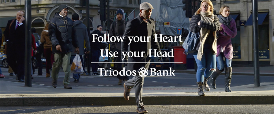 triodos_bank_nederland_rafael_de_amorim_videographer